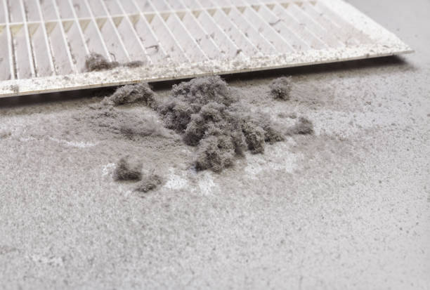 Best Air Duct Cleaning Near Me  in Round Lake Heights, IL