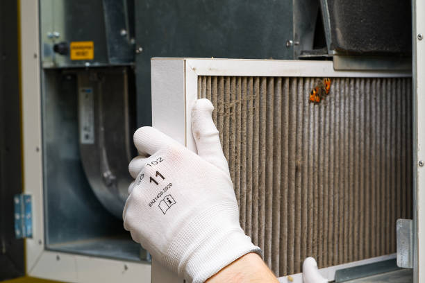 Best Air Duct Cleaning Near Me  in Round Lake Heights, IL